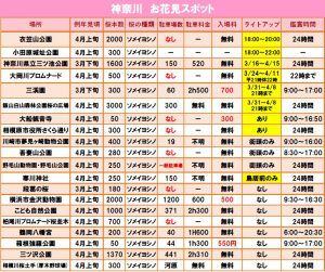 2020年神奈川県の桜花見名所と穴場の桜本数!見頃時期順はいつ?
