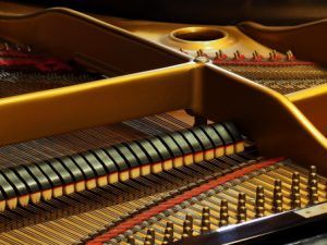 羊と鋼の森を無料視聴する方法！動画は安全に見る！海外サイトは危険！