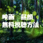 映画【昼顔】上戸彩主演は無料視聴OK!動画は正規の安全な方法で!