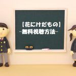 ドラマ【花にけだもの】は無料視聴できる!動画は安全な方法で見よう!