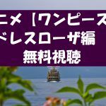 【ワンピースドレスローザ編】アニメは無料視聴OK!ネタバレと感想!