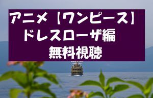 【ワンピースドレスローザ編】アニメは無料視聴OK！ネタバレと感想！