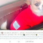 オードリ春日の彼女Kさんは誰で名前は?ドッグカフェどこの場所にあるの?