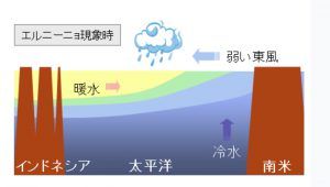2019今年の夏は暑いのか？気温は低い見込み？エルニーニョ現象の影響は？