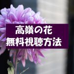 【高嶺の花】ドラマ動画は無料視聴OK!感想とネタバレ!石原さとみ主演
