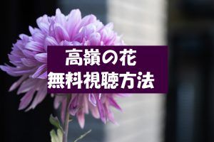 【高嶺の花】ドラマ動画は無料視聴OK!感想とネタバレ!石原さとみ主演