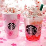 スタバ「さくらフルフラペ・フルミルクラテ」価格と感想!いつから発売?