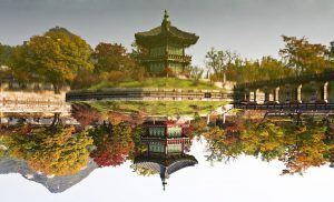 韓国文喜相議長が天皇の謝罪を要求(慰安婦問題)した理由と真相!過去の例も検証!