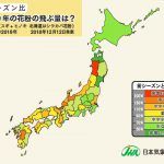 2019今年の花粉の飛散は多いのか?いつから始まる?量は少ないのか?