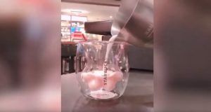 スタバ【猫の手カップ】販売時のけんかの動画!日本発売日はいつ?
