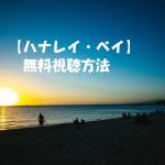 映画【ハナレイ・ベイ】動画は無料視聴OK!佐野玲於(EXILE)主演の感想