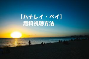 映画【ハナレイ・ベイ】動画は無料視聴OK!佐野玲於(EXILE)主演の感想