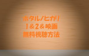 【ホタルノヒカリ映画&ドラマ1,2】動画は無料視聴OK!綾瀬はるか主演
