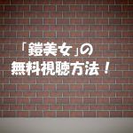 【鎧美女】は無料視聴OK!動画の感想やネタバレ!元アイドル出演!
