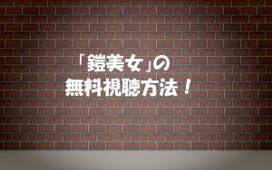 【鎧美女】は無料視聴OK!動画の感想やネタバレ!元アイドル出演!
