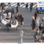 渋谷スクランブル交差点にベッドを置いた犯人は誰(名前)動画も紹介!