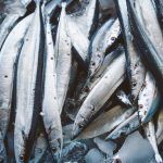 2019年サンマの価格や漁獲量は?今年の秋刀魚は脂が乗って値段が高い?