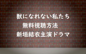 「獣になれない私たち」の動画は無料視聴OK！新垣結衣ドラマの感想！