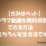 【きみはペット】動画を無料視聴する方法!全話あらすじ感想も紹介!志尊淳出演ドラマ