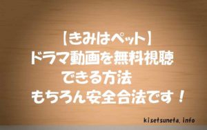 【きみはペット】動画を無料視聴する方法！全話あらすじ感想も紹介！志尊淳出演ドラマ