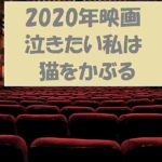 アニメ映画「泣きたい私は猫をかぶる」無料動画!あらすじ&キャストコメント紹介
